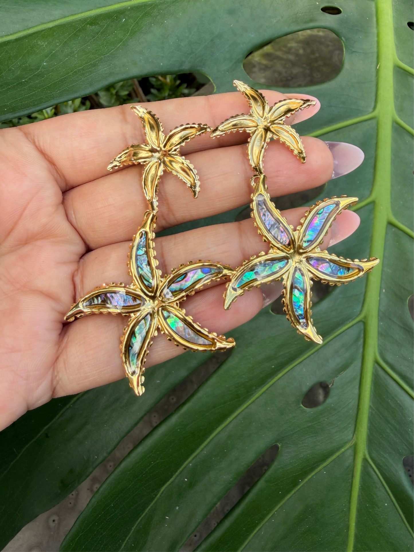 Starfish Earring