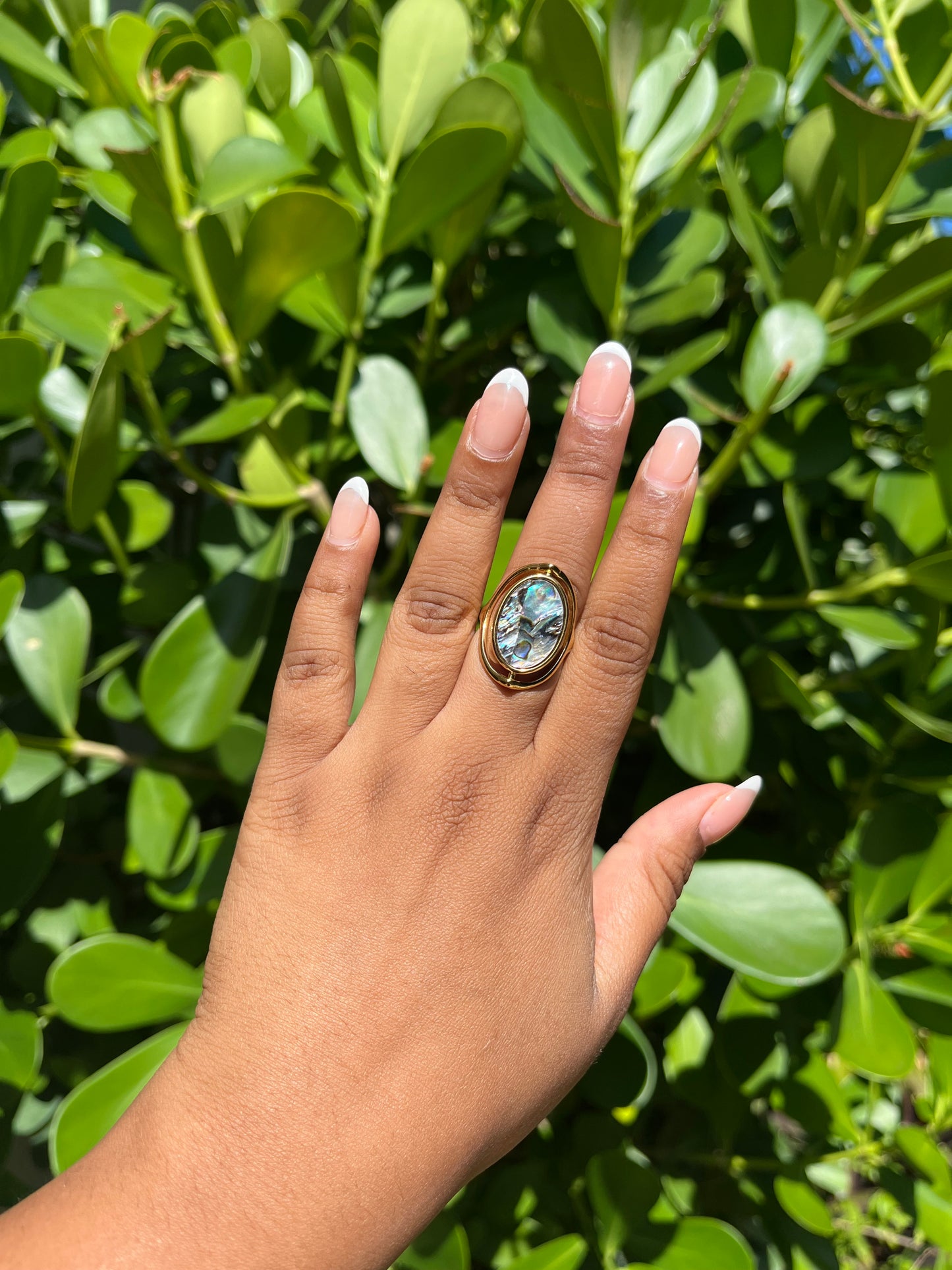 Abalone Ring