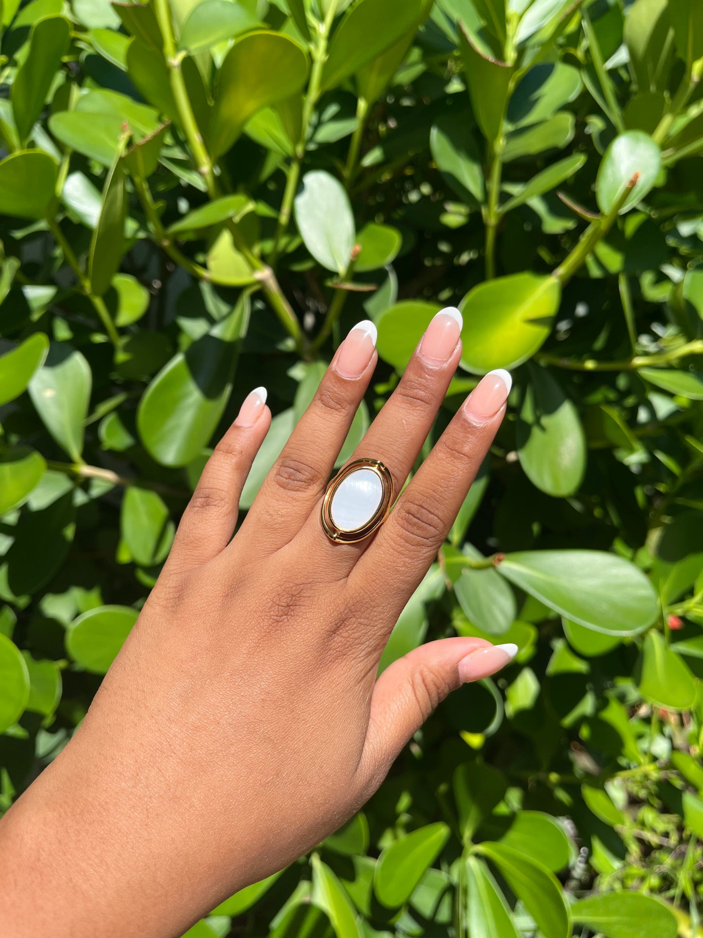 Abalone Ring